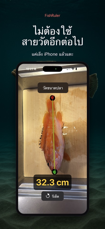 FishRuler: วัดขนาดปลา 4