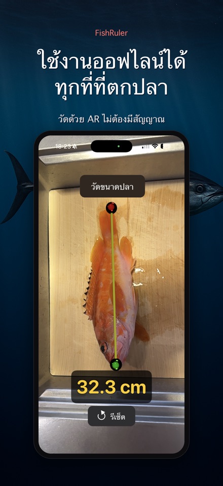 FishRuler: วัดขนาดปลา 7