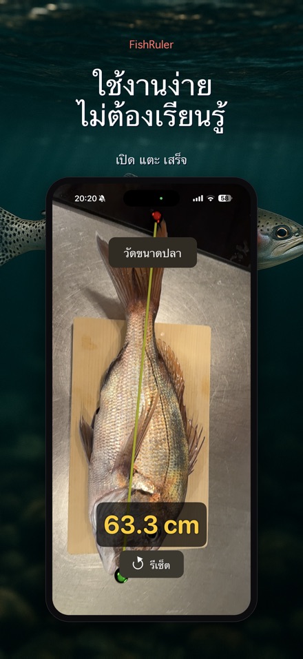 FishRuler: วัดขนาดปลา 9