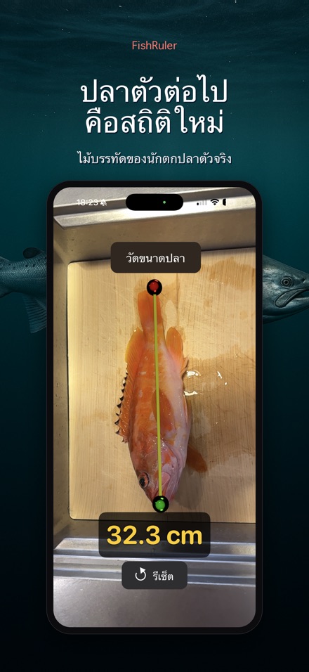 FishRuler: วัดขนาดปลา 10