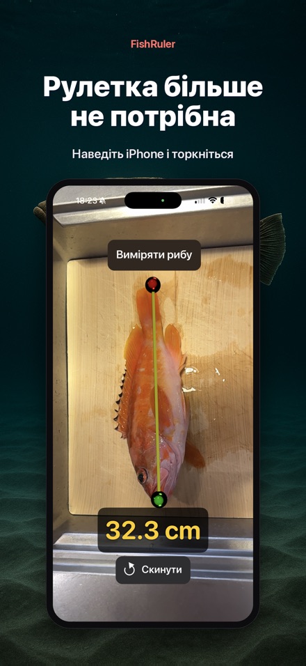 FishRuler: вимір риби в AR 4
