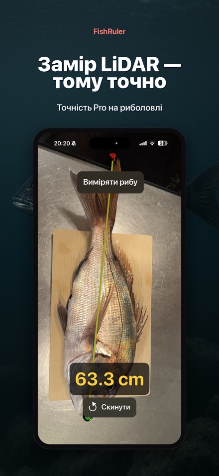 FishRuler: вимір риби в AR 6