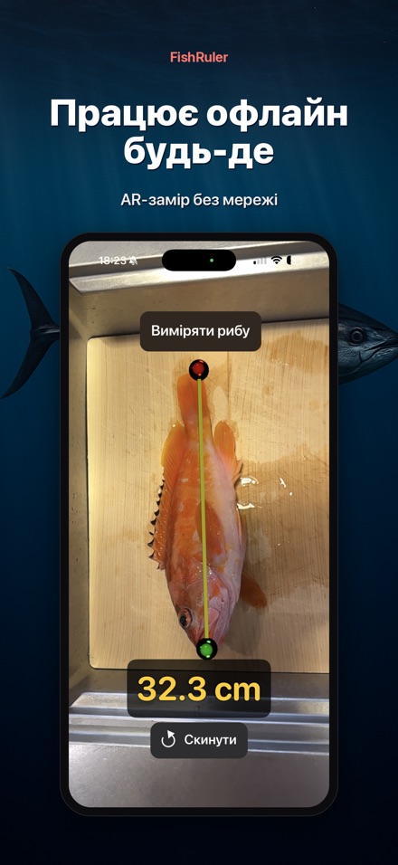 FishRuler: вимір риби в AR 7
