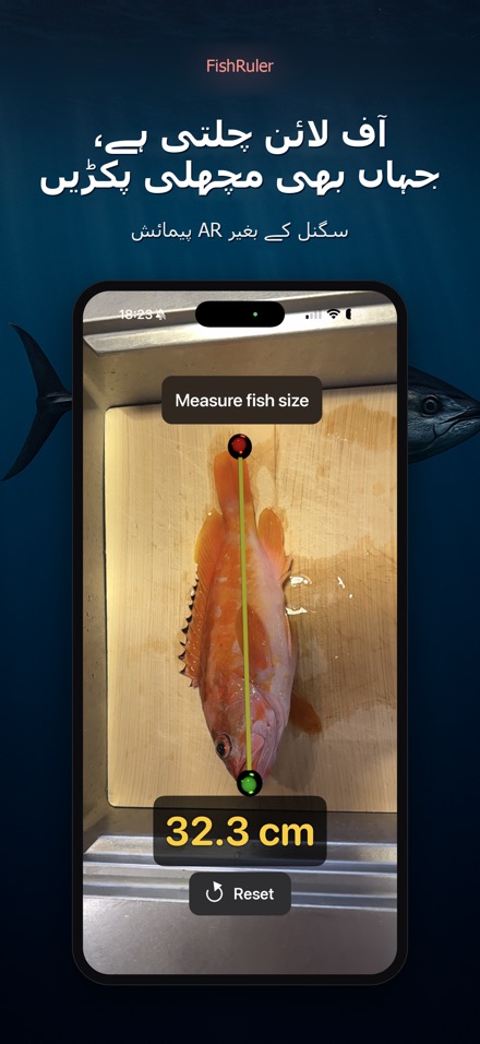 FishRuler: مچھلی کی پیمائش 7