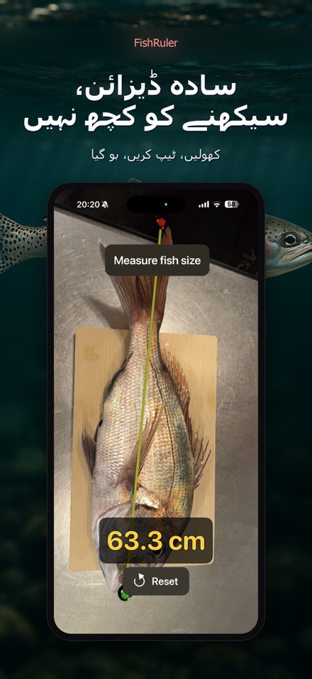 FishRuler: مچھلی کی پیمائش 9