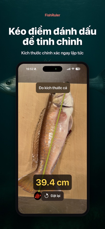 FishRuler: Đo kích thước cá 2
