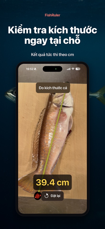 FishRuler: Đo kích thước cá 5