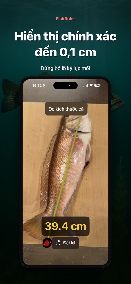 FishRuler: Đo kích thước cá 8