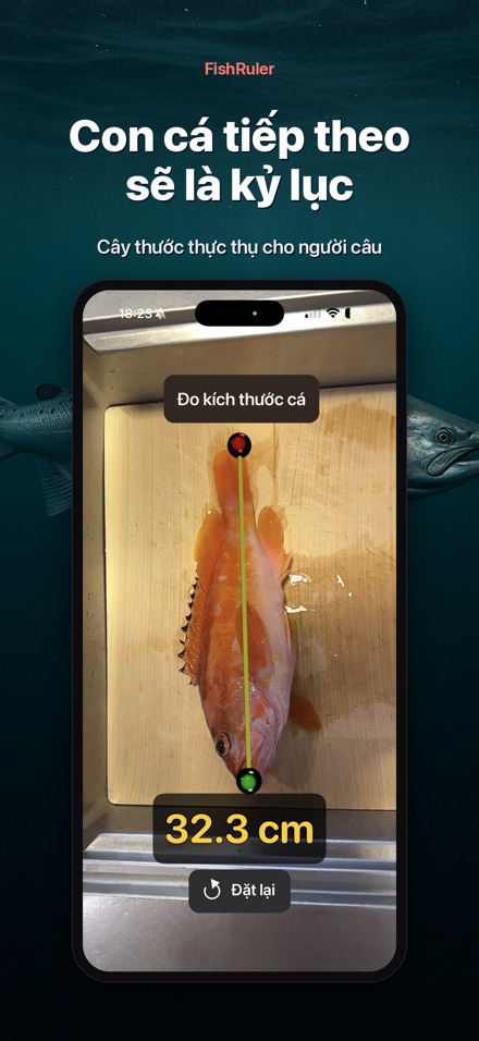 FishRuler: Đo kích thước cá 10