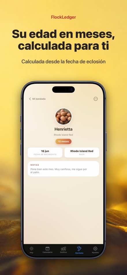 FlockLedger: Contador Huevos 7