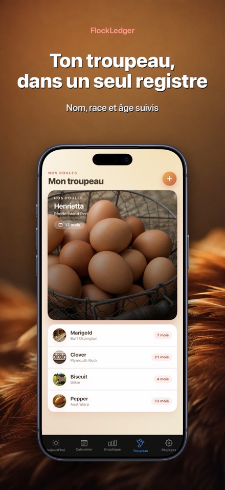 FlockLedger: Compteur d'Œufs 5