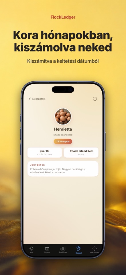 FlockLedger: Tojásszámláló 7