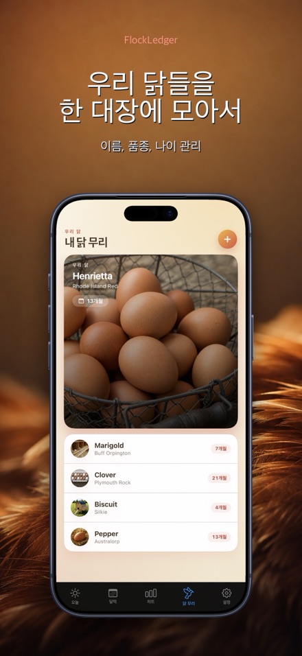 FlockLedger: 계란 카운터 5