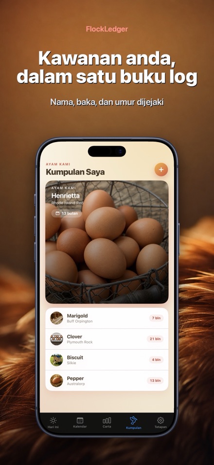 FlockLedger: Pengira Telur 5