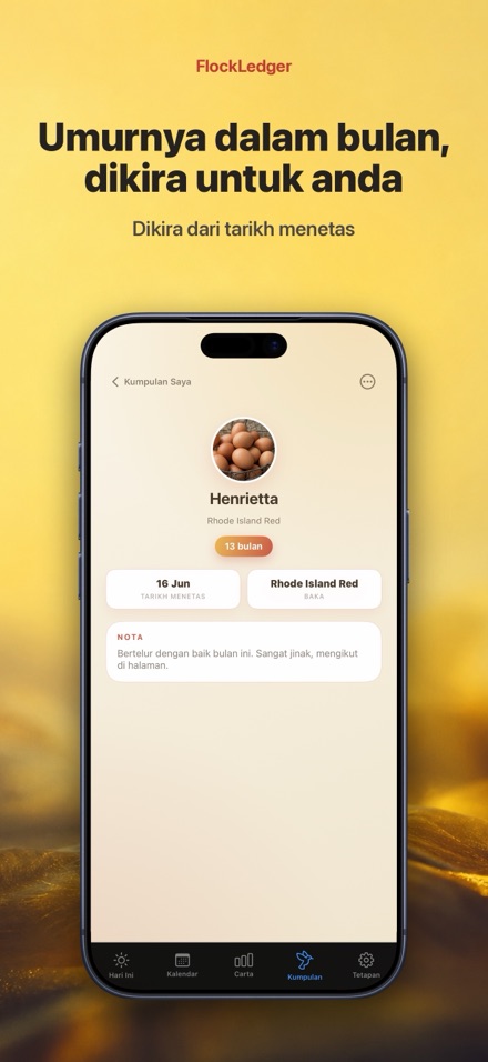 FlockLedger: Pengira Telur 7