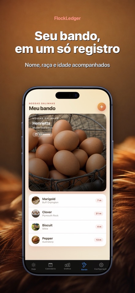 FlockLedger: Contador de Ovos 5