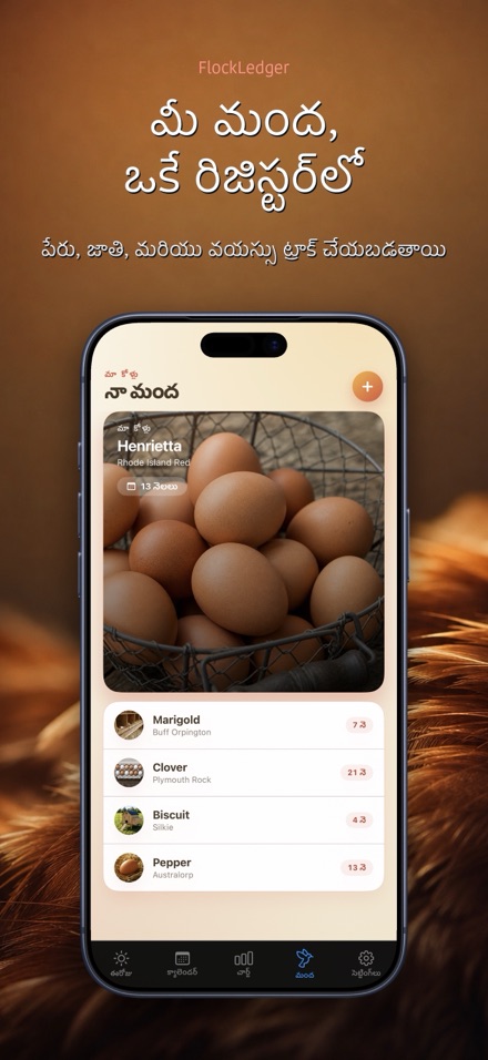 FlockLedger: గుడ్ల కౌంటర్ 5