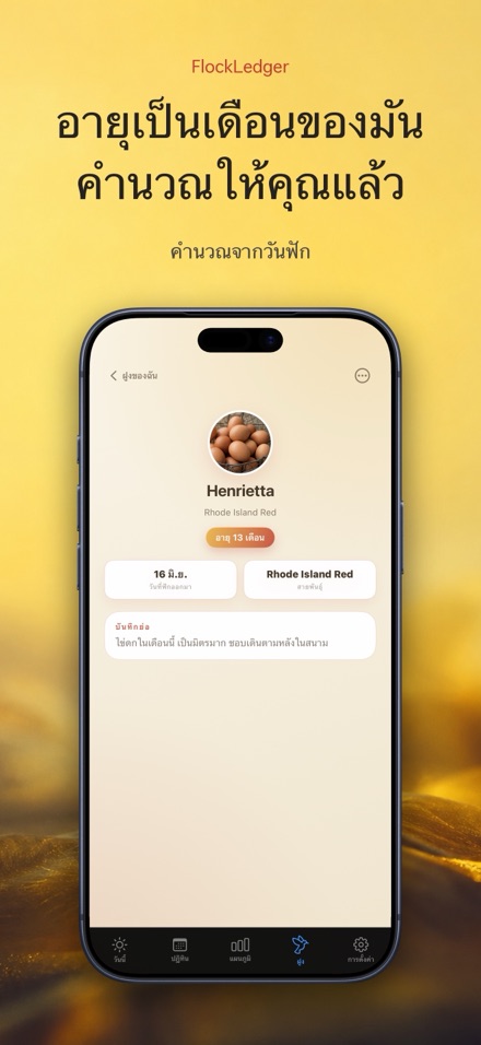FlockLedger: นับไข่ไก่ 7