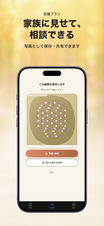 花壇プラン:苗の本数と咲く様子 9
