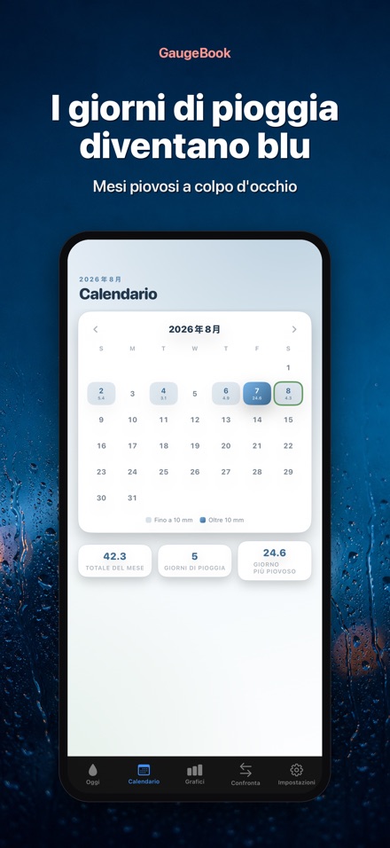 GaugeBook: Diario Pluviometro 2