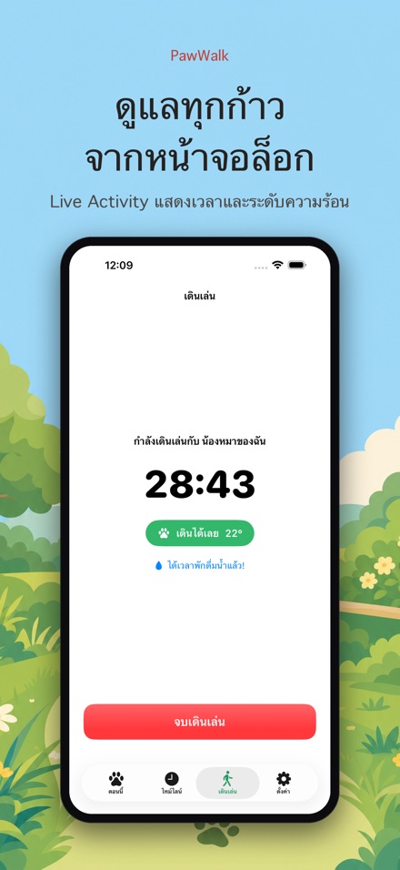 PawWalk เช็กพื้นร้อนพาหมาเดิน 3