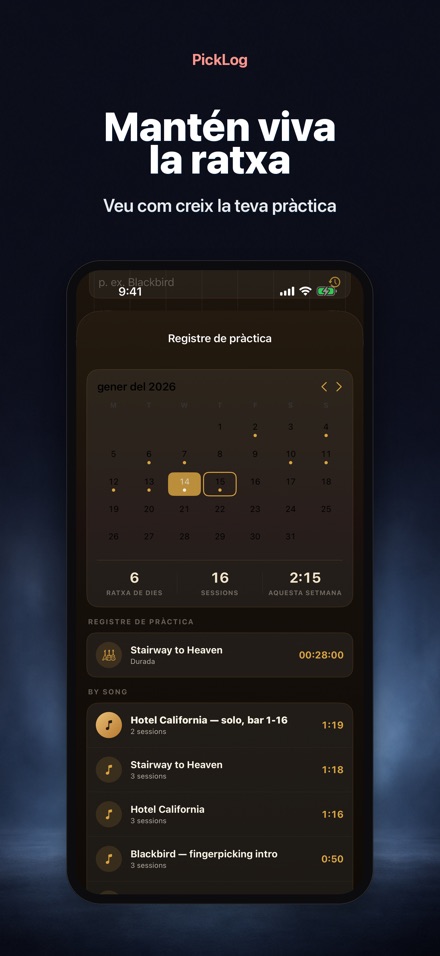 PickLog: Cronòmetre Guitarra 4