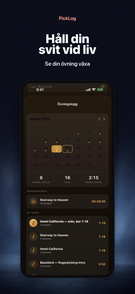 PickLog: Gitarrövnings-timer 4