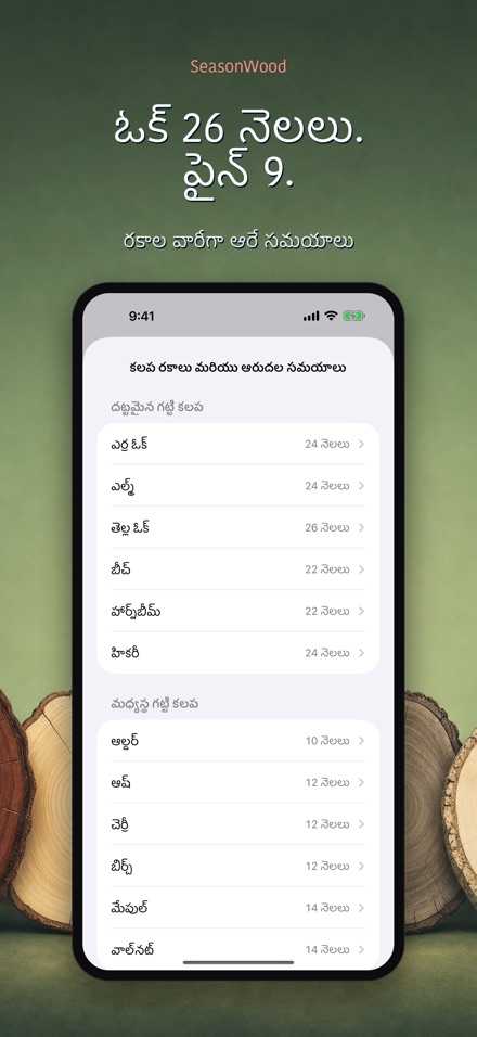 SeasonWood: కట్టెల ఆరుదల 7